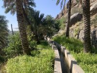 102 Misfat Al Abriyeen