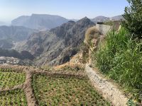 149 Jebel Akhdar - der grüne Berg
