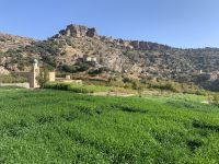 151 Jebel Akhdar - der grüne Berg