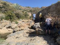 154 Jebel Akhdar - der grüne Berg