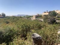 156 Jebel Akhdar - der grüne Berg