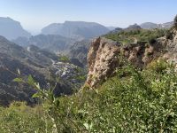 158 Jebel Akhdar - der grüne Berg
