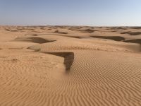 202 raus aus der Wüste