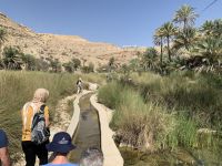 204 Wadi Bani Khalid