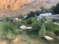 239 Wadi Tiwi