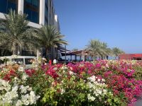 264 Muscat - Qurum Beach