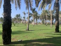 312 Tea Time im Al Bustan Palace