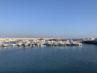 316 Dhau-Fahrt an der Küste Muscats