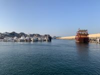 317 Dhau-Fahrt an der Küste Muscats