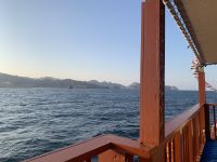 319 Dhau-Fahrt an der Küste Muscats