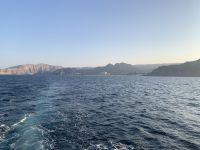 321 Dhau-Fahrt an der Küste Muscats