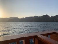 322 Dhau-Fahrt an der Küste Muscats