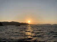 324 Dhau-Fahrt an der Küste Muscats