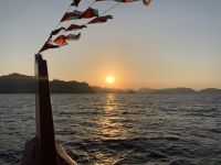 326 Dhau-Fahrt an der Küste Muscats