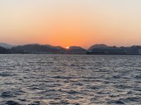 329 Dhau-Fahrt an der Küste Muscats