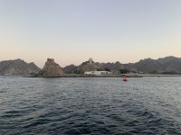 330 Dhau-Fahrt an der Küste Muscats