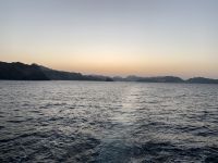 331 Dhau-Fahrt an der Küste Muscats