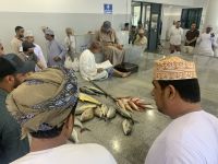 345 Barka Fischmarkt