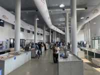 359 Barka Fischmarkt