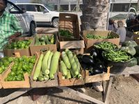 360 Barka Gemüsemarkt