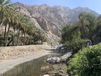 363 Quellen von Ain Thowara