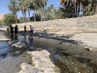 364 Quellen von Ain Thowara