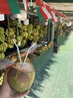 407 Obstplantage Salalah