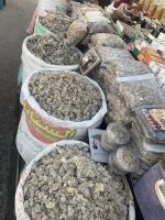 411 Weihrauchsouk Salalah