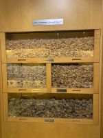 431 Salalah Weihrauchmuseum