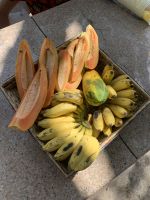 461 Lunch im Wadi Darbat