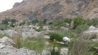 Wadi Tiwi