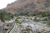 Wadi Tiwi