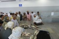 Barka, Fischmarkt, Auktion