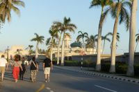 ...auf zum Weihrauchsouk