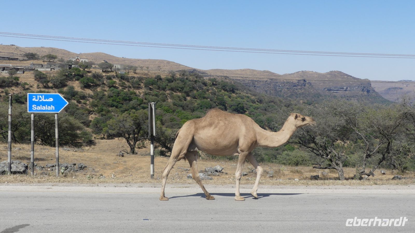 ...zurück nach Salalah