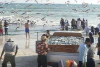 ...noch eine Ladung voll