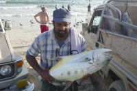 ...Abendessen gesichert