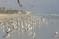 im Hintergrund das Crown Plaza