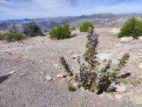 IMG 20231114 111304 1