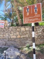 IMG 20231115 103210 1