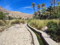 IMG 20231115 111308 1