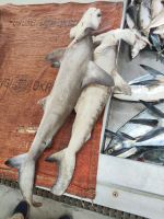 IMG 20231116 103623 1