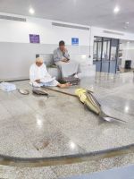 IMG 20231117 100242 1