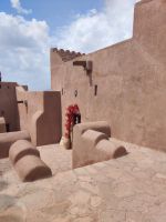 IMG 20231117 115949 1