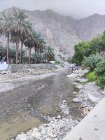 IMG 20231117 124923 1