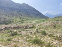 IMG 20231118 115252 1