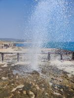 IMG 20231118 124915 1