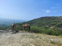 IMG 20231119 110221 1