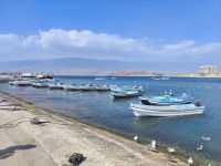 IMG 20231120 140239 1