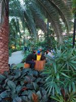 kurze Pause beim Umsteigen im Flughafen Doha